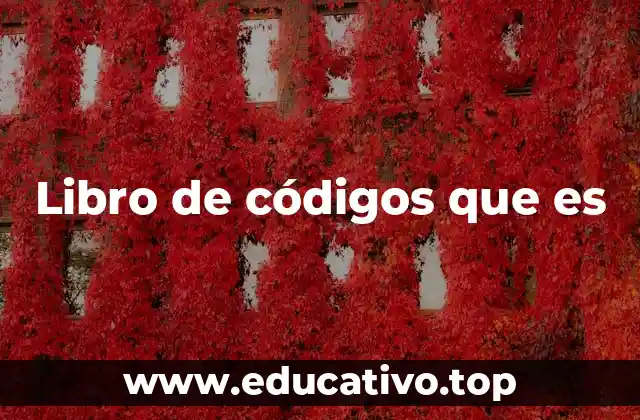 Libro de códigos que es