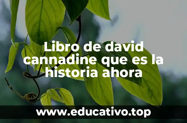Libro de david cannadine que es la historia ahora