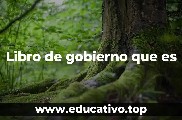 Libro de gobierno que es