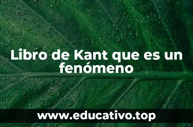 Libro de Kant que es un fenómeno