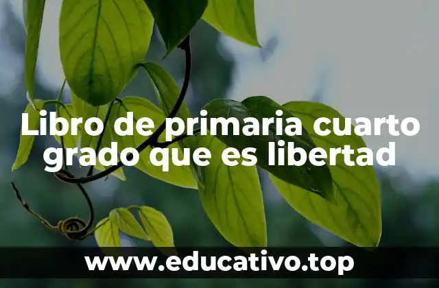 Libro de primaria cuarto grado que es libertad