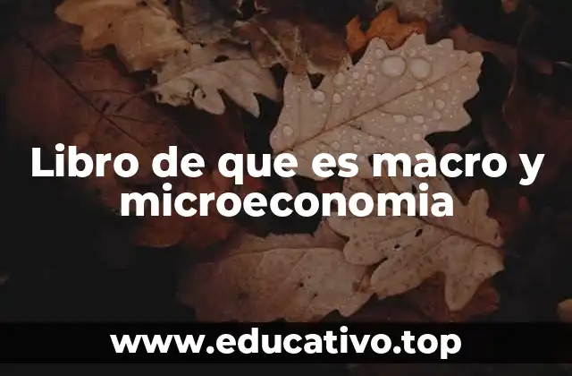 Libro de que es macro y microeconomia