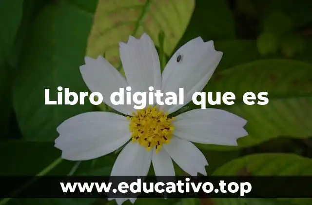 Libro digital que es