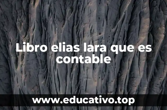 Libro elias lara que es contable