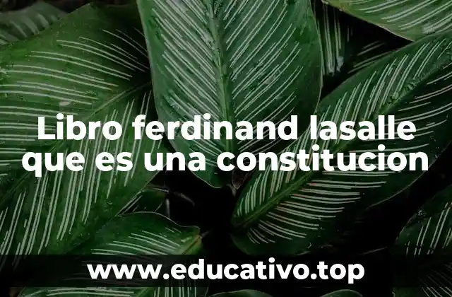 Libro ferdinand lasalle que es una constitucion