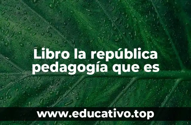 Libro la república pedagogía que es