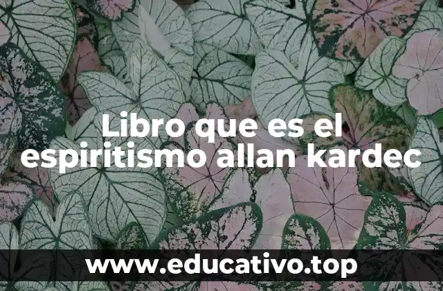 Libro que es el espiritismo allan kardec