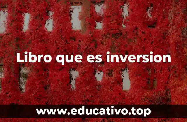 Libro que es inversion