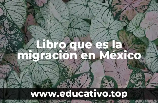 Libro que es la migración en México