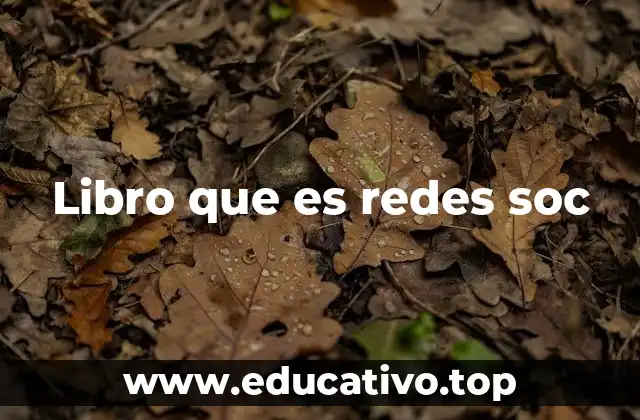 Libro que es redes soc