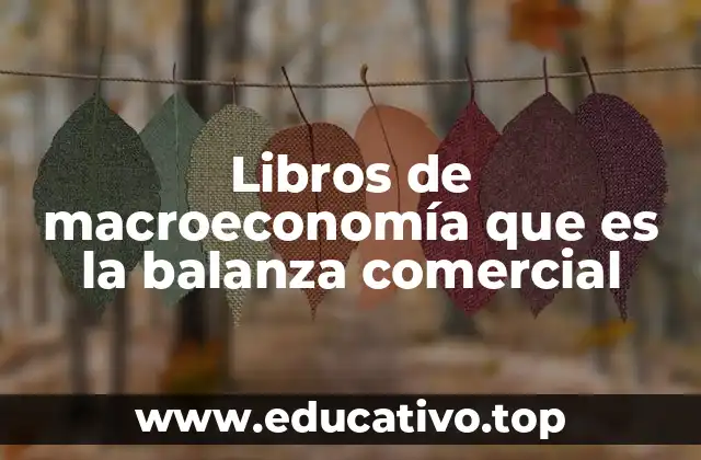 Libros de macroeconomía que es la balanza comercial