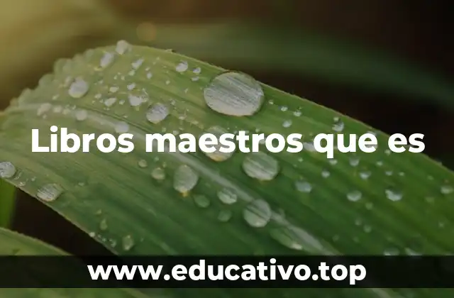 Libros maestros que es