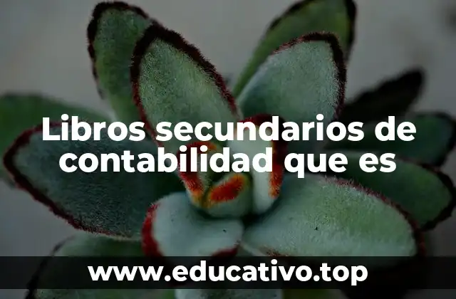 Libros secundarios de contabilidad que es