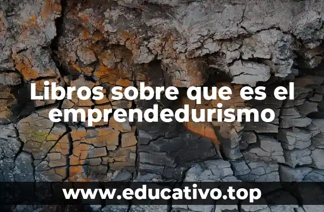 Libros sobre que es el emprendedurismo
