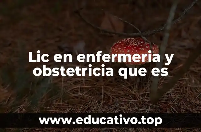 Lic en enfermeria y obstetricia que es