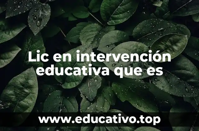 Lic en intervención educativa que es