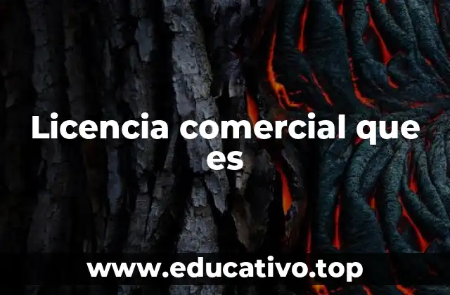 Licencia comercial que es