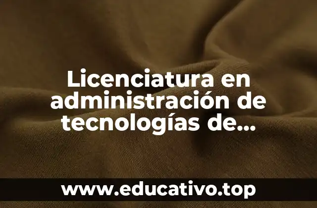 Licenciatura en administración de tecnologías de información que es