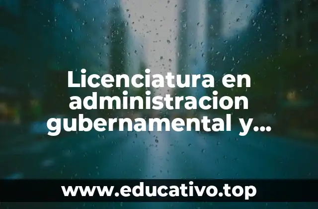 Licenciatura en administracion gubernamental y politicas publicas que es