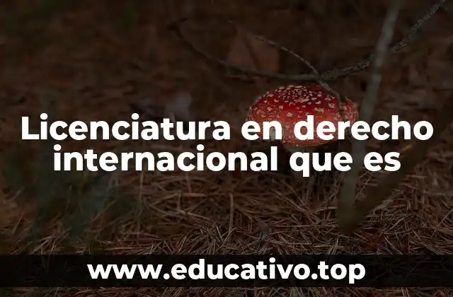 Licenciatura en derecho internacional que es