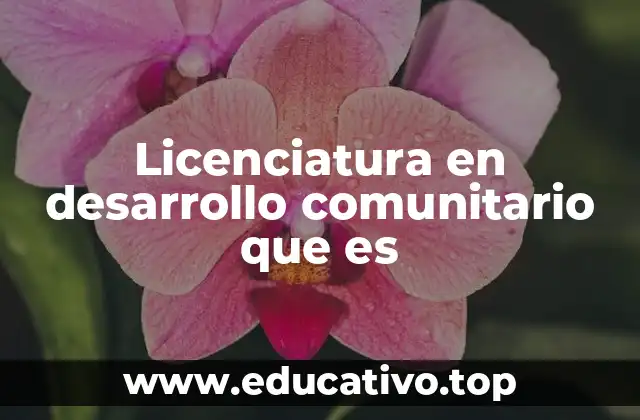 Licenciatura en desarrollo comunitario que es
