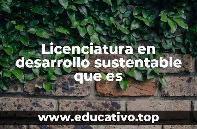 La interdisciplinariedad como base del desarrollo sustentable