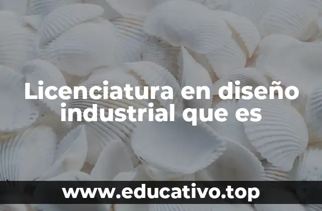 Licenciatura en diseño industrial que es