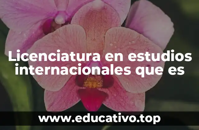 Licenciatura en estudios internacionales que es