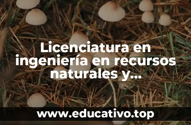 Licenciatura en ingeniería en recursos naturales y agropecuarios que es