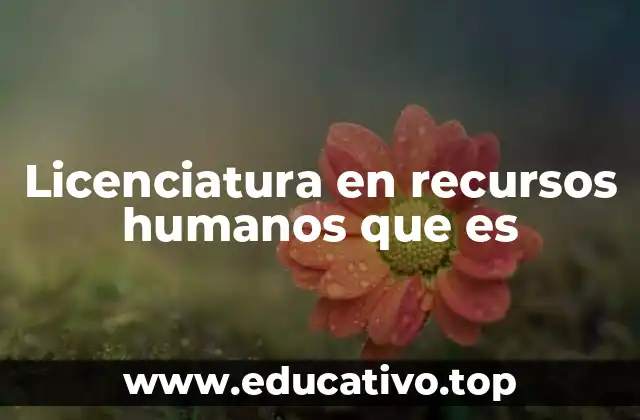 Licenciatura en recursos humanos que es