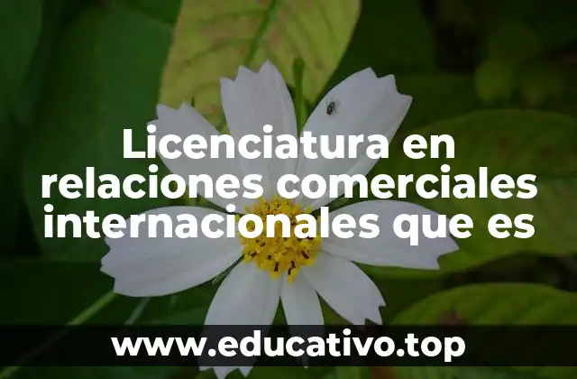 Licenciatura en relaciones comerciales internacionales que es