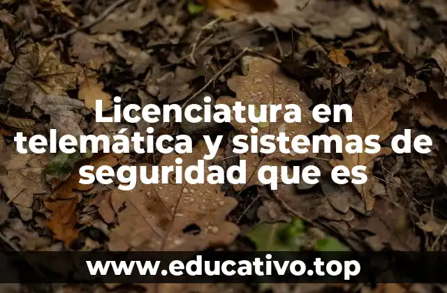 Licenciatura en telemática y sistemas de seguridad que es