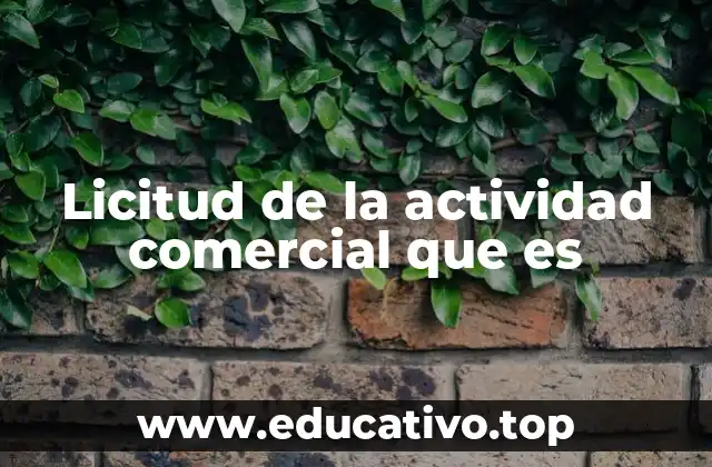 Licitud de la actividad comercial que es