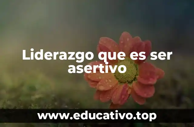 Liderazgo que es ser asertivo