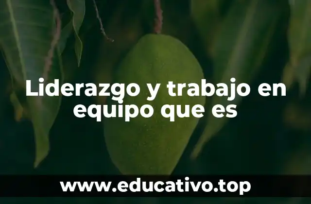 Liderazgo y trabajo en equipo que es