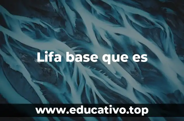Lifa base que es