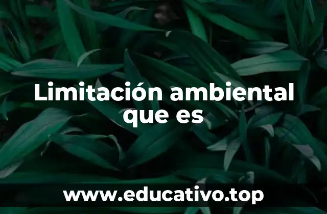 Factores que influyen en el entorno natural