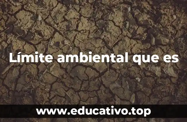 Límite ambiental que es