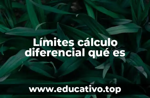 Límites cálculo diferencial qué es