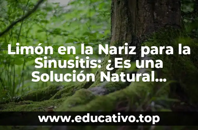 Limón en la Nariz para la Sinusitis: ¿Es una Solución Natural Efectiva?