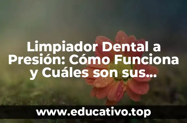 Limpiador Dental a Presión: Cómo Funciona y Cuáles son sus Beneficios