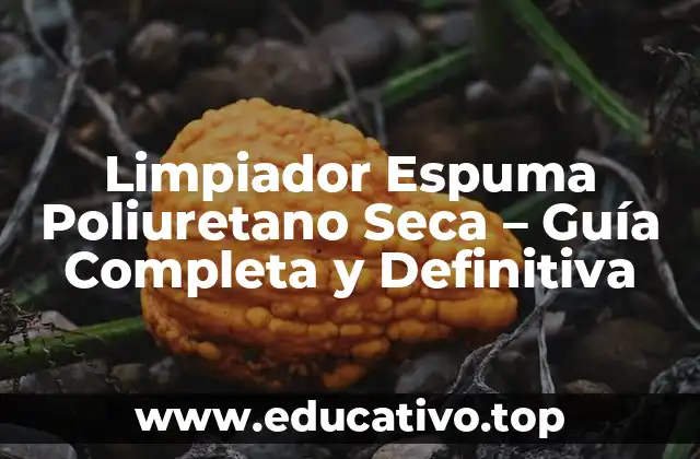 Limpiador Espuma Poliuretano Seca – Guía Completa y Definitiva