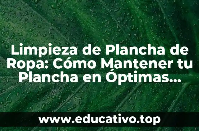Limpieza de Plancha de Ropa: Cómo Mantener tu Plancha en Óptimas Condiciones