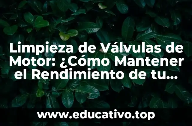 Limpieza de Válvulas de Motor: ¿Cómo Mantener el Rendimiento de tu Vehículo?