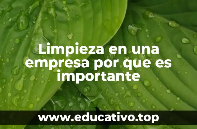 Limpieza en una empresa por que es importante