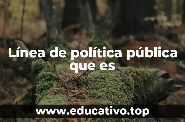Línea de política pública que es