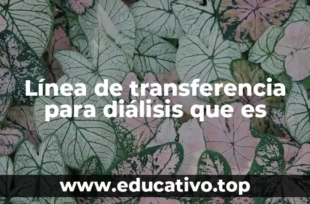 Línea de transferencia para diálisis que es