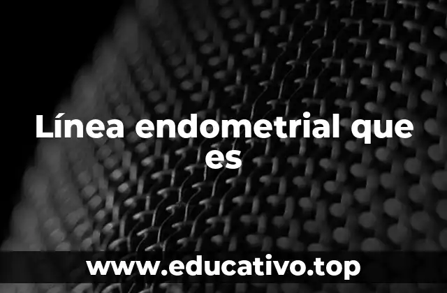 Línea endometrial que es