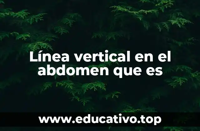 Línea vertical en el abdomen que es