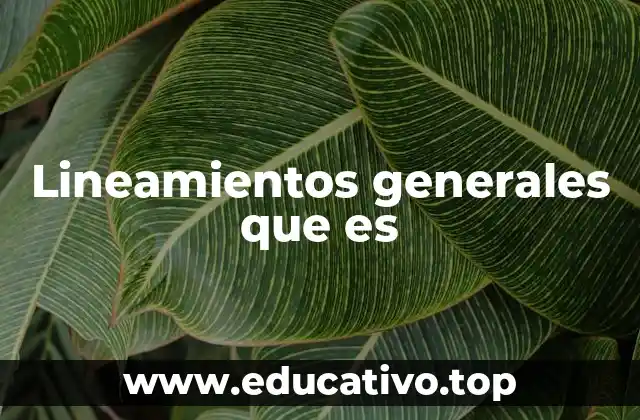 Lineamientos generales que es